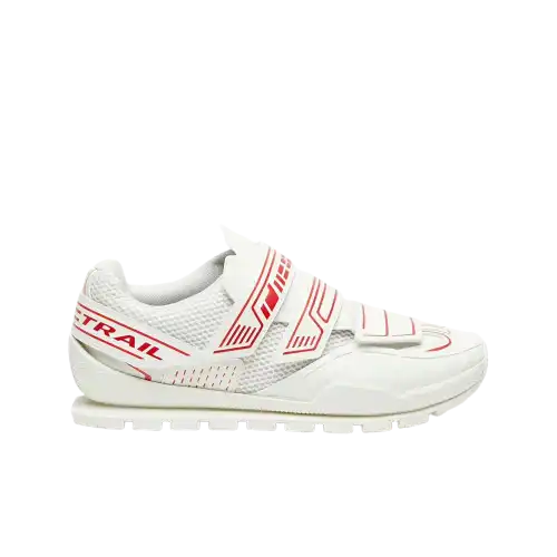 Tenis